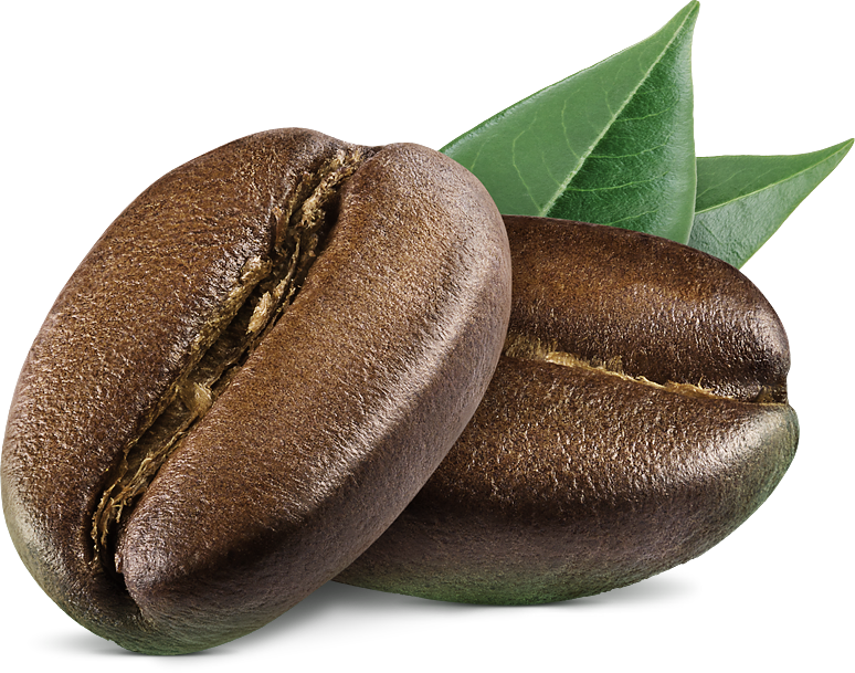 Grano de Café